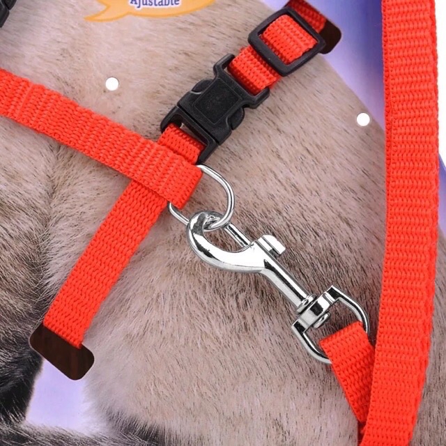 Dây dắt dải yếm thú cưng cỡ nhỏ xinh xắn