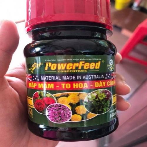 Phân cá powerfeed siêu đẻ nhánh, không hôi 100ml