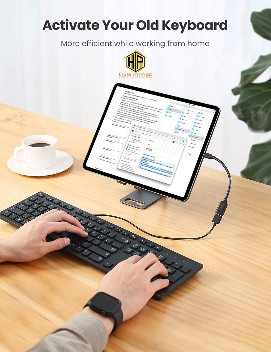 Cáp OTG USB Type C to USB 3.0 Ugreen 30701 chính hãng - Hapustore