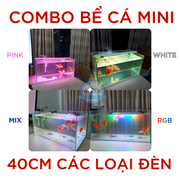 Bể cá mini 40cm COMBO C30 đầy đủ