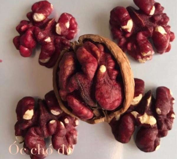 [HCM]Bộ 2 Túi Hạt Óc Chó Đỏ Cao Cấp 500g
