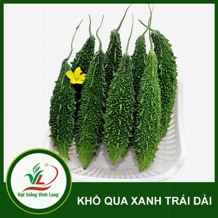 Hạt giống Khổ qua xanh trái dài RD 253 - 5 hạt