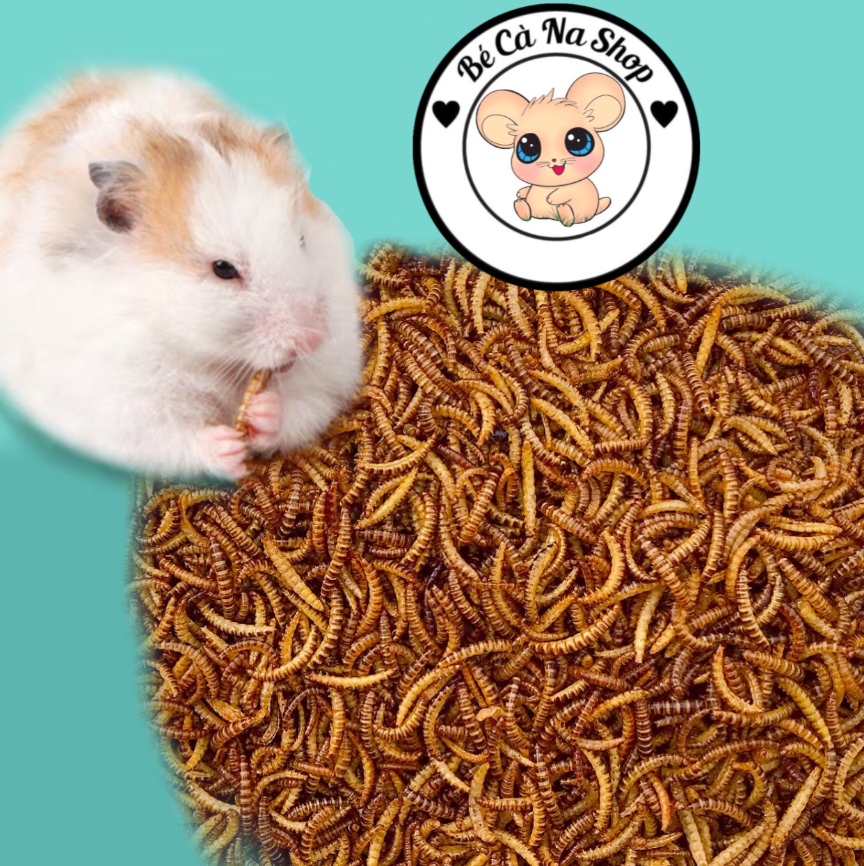 sâu gạo mini rang bơ cho hamster
