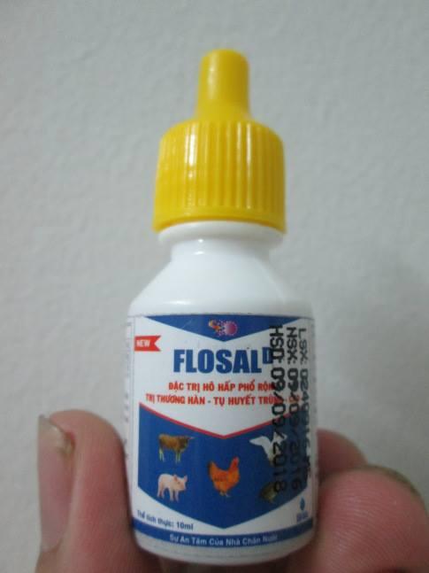 10 Chai FLOSAL-D 10ml - hô hấp, khò khè, CRD