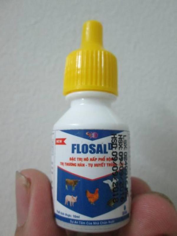 FLOSAL-D - Đặc trị bệnh Tổng hợp Hô hấp, thương hàn, Tụ huyết trùng..