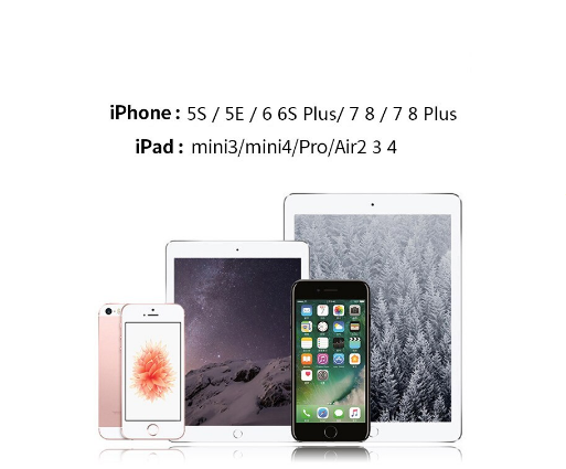 Nút Home _Đỏ viền Đỏ Cho I P h o n e 5/5S/6/6S/6Plus/6SPlus/7/7Plus (Touch Id Buttom)