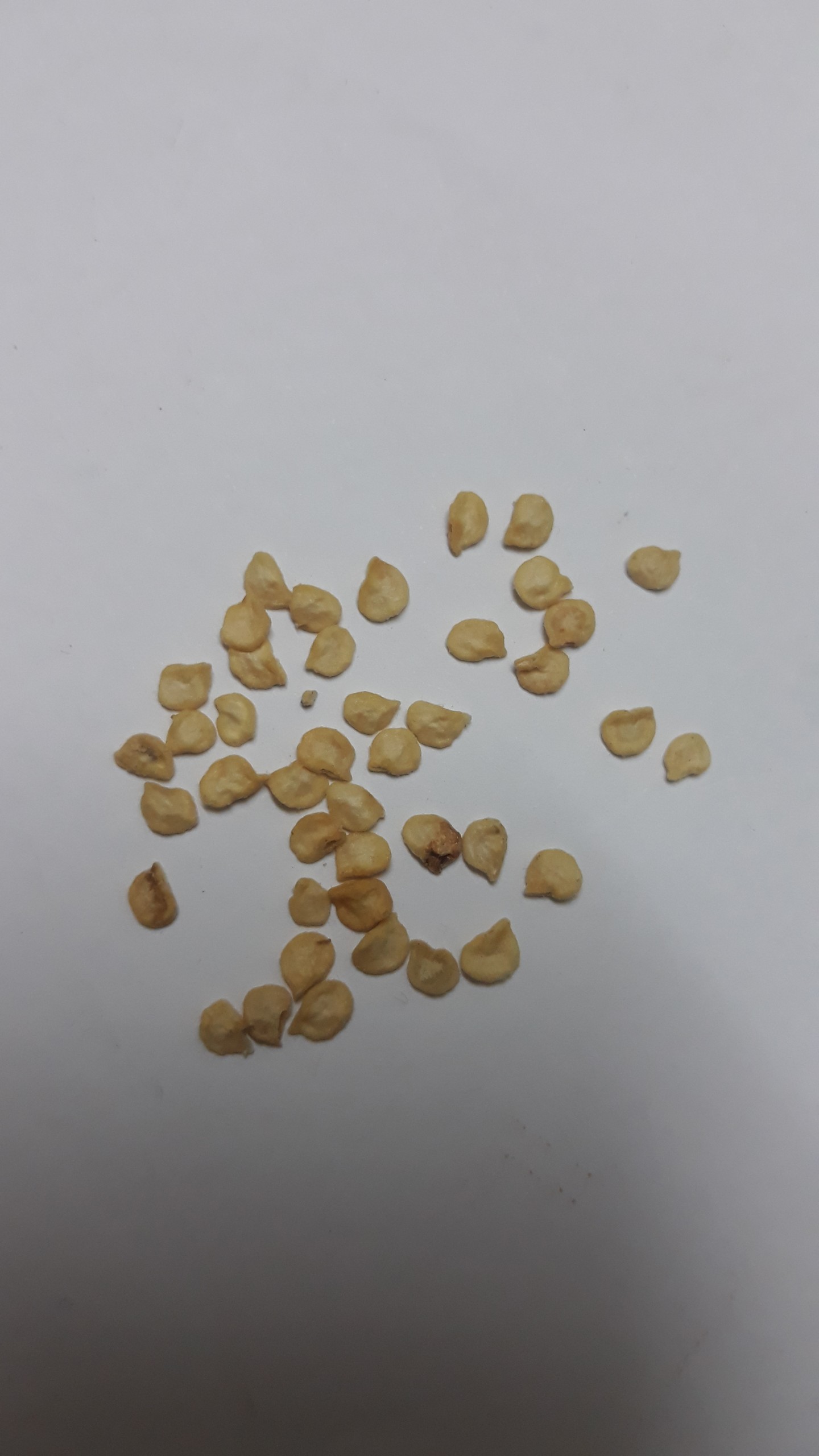 Hạt giống ớt xiêm - Gói 0,2g