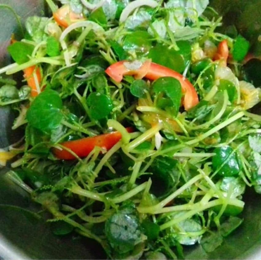 50 Hạt giống Rau Càng Cua