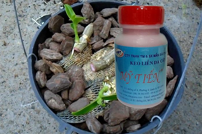 Keo liền sẹo Mỹ Tiến lọ 100 g