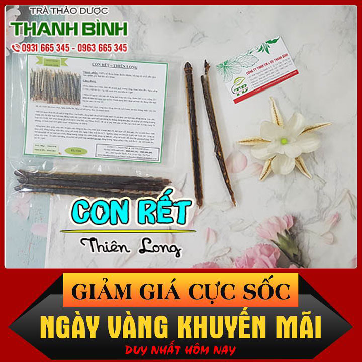 Combo 1 Cặp Con Rết Khô (Thiên Long)  2con - Thảo Dược Thanh Bình