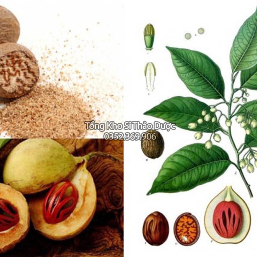 Nhục Đậu Khấu 100g (Thơm, Sạch)