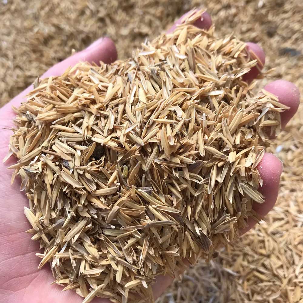1Kg Vỏ trấu khô trồng cây