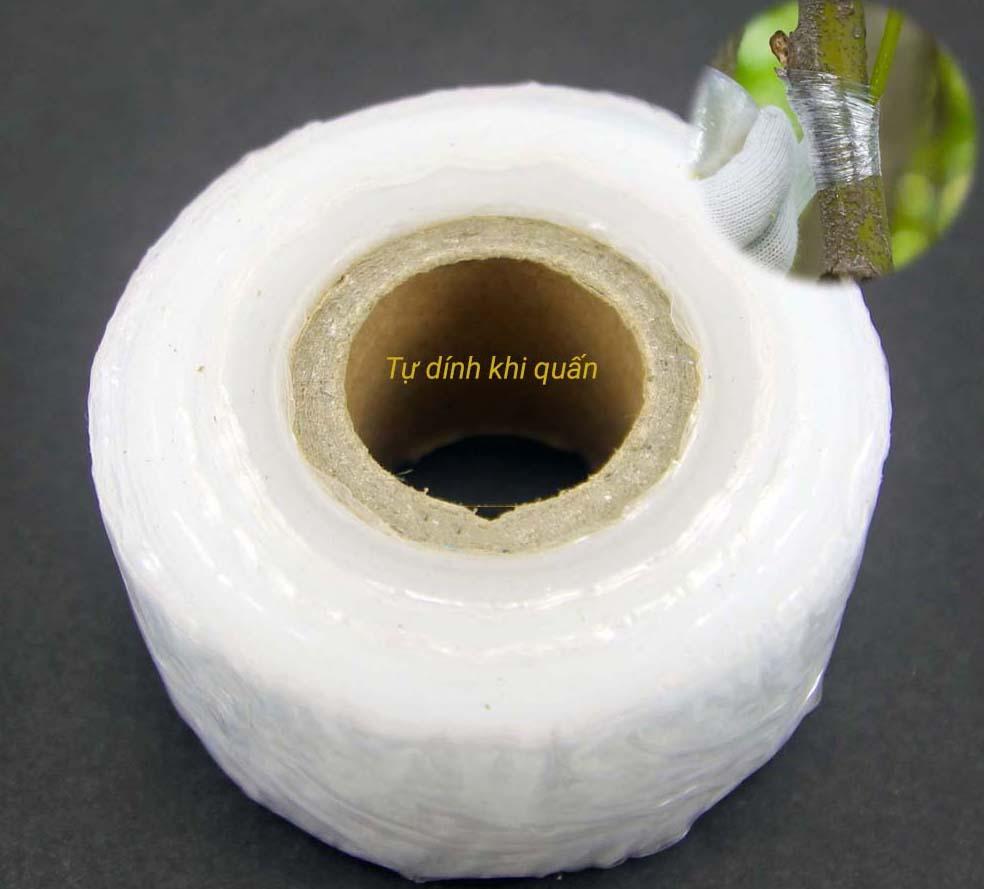 Băng keo ghép cành tự hủy 3cm