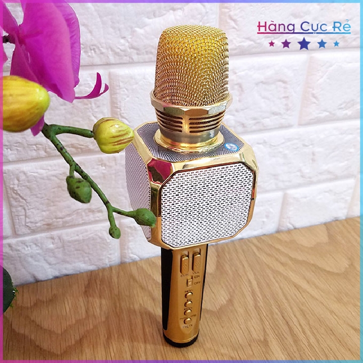 Micro hát Karaoke Bluetooth cực hay SD10 model 2021 - Shop Hàng Cực Rẻ