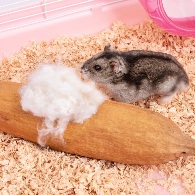 Nệm Gòn Cho Hamster