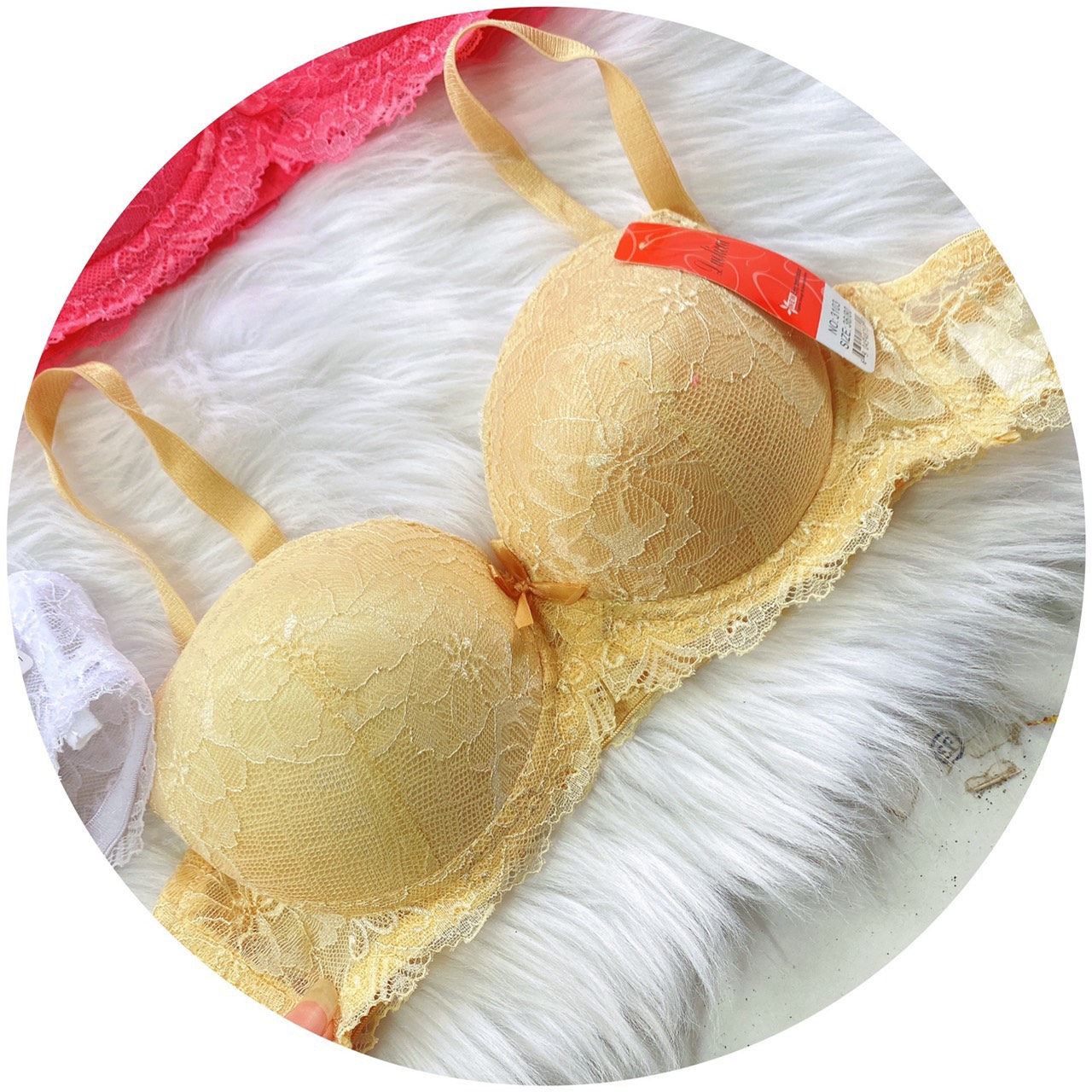 COMBO 3 Áó lót ren đệm 3cm 34,36,38