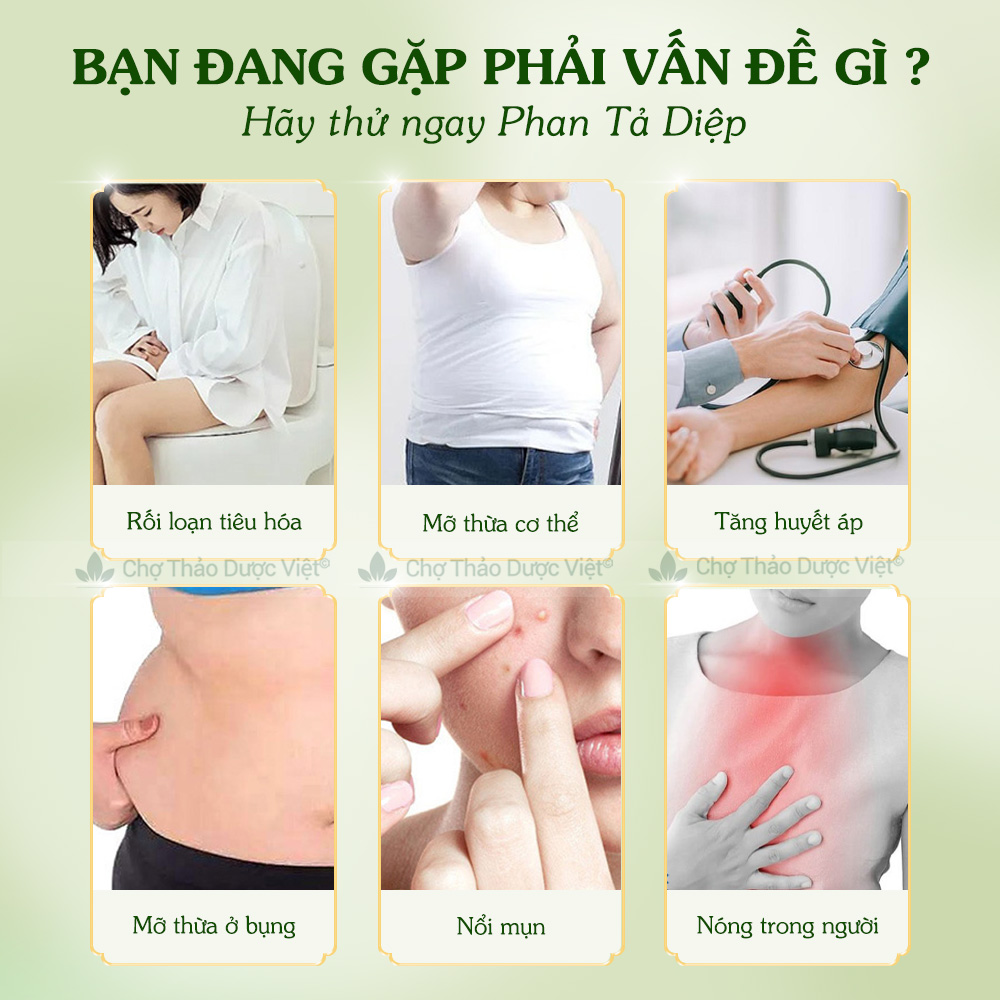Phan Taa Diep 1kg, Dried Phan Taa Diep Leaves, Clean, Crumb-Free, Without Impurities - Viet Herbal Market