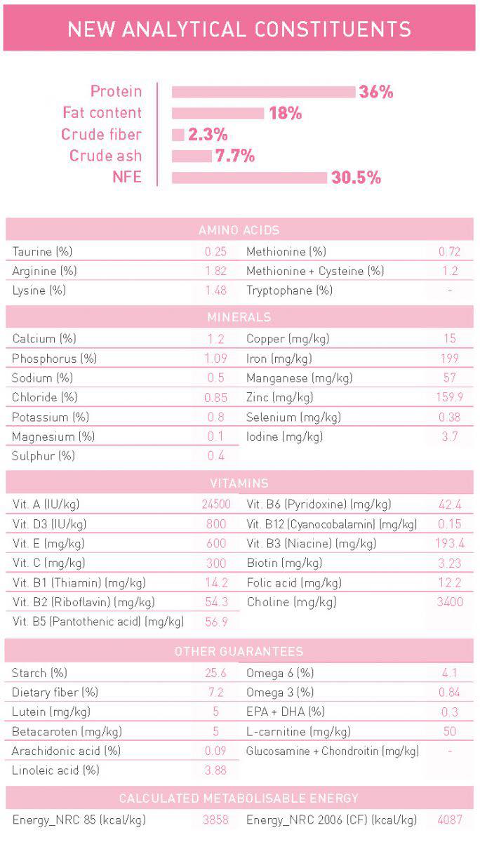 Thức ăn hạt royal canin kitten 1kg cho mèo