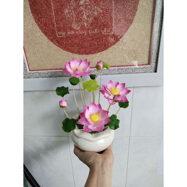 Chậu sen đất sét size nhỏ