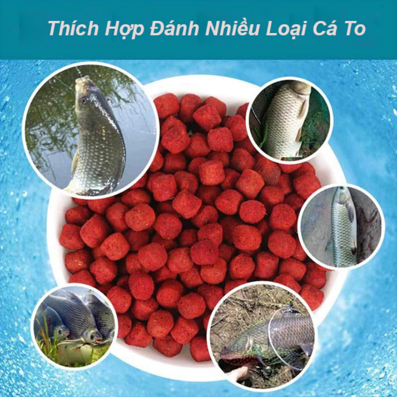 Mồi câu cá, mồi câu trắm, chép, diếc, rô phi, mồi câu siêu tốc