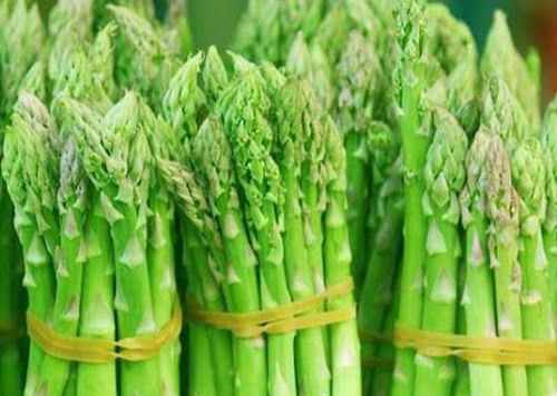 Hạt giống măng tây xanh