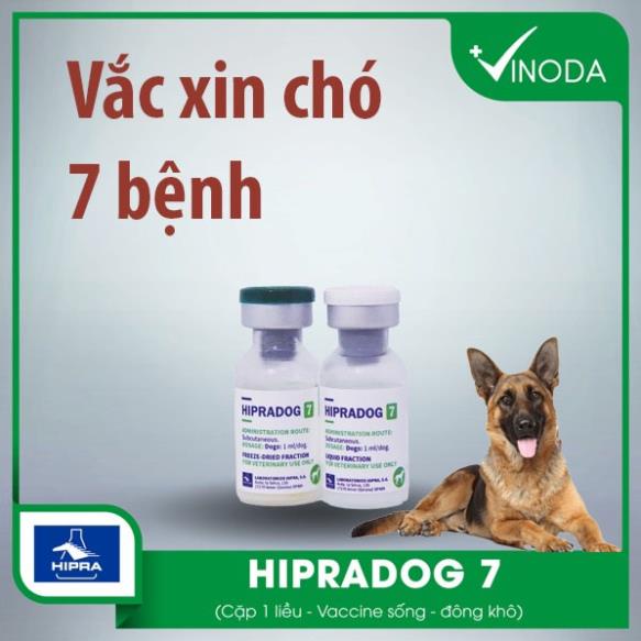 (Hoả tốc) Hướng dẫn tiêm vắc xin chó 7 bệnh (tặng bơm kim tiêm)