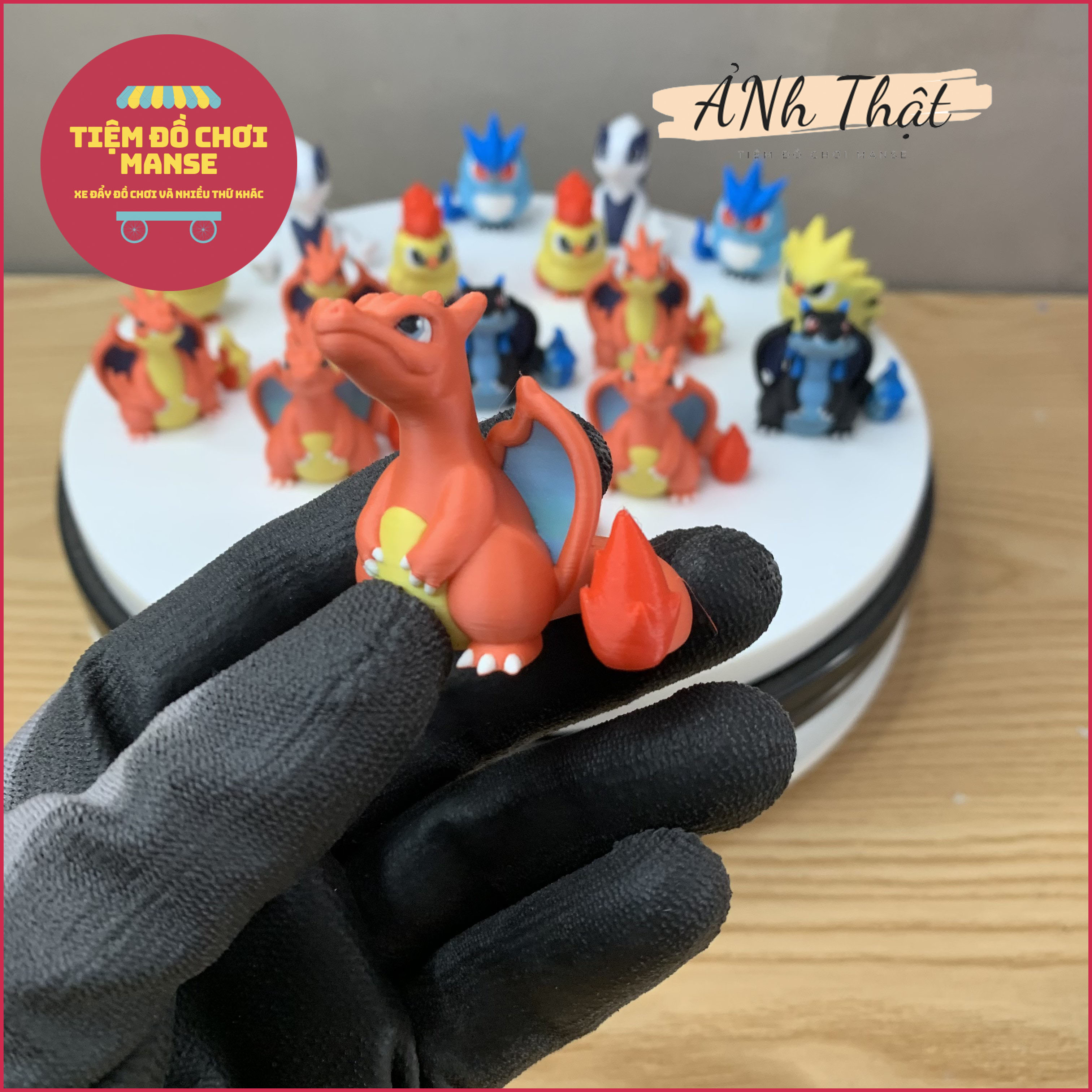 [ Thiết Kế Độc Quyền ] Mô hình Các Pokemon Mega Charizard, Charmander, Charmeleon, Tyranitar, Dragonite - Không Đụng Hàng