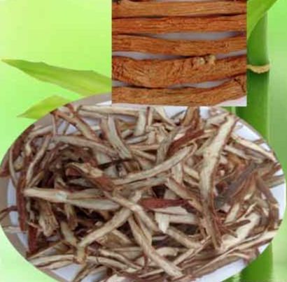 Đan sâm khô ( đan sâm thái phiến ) túi 300g Việt Nguyên