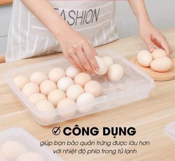 HỘP ĐỰNG TRỨNG 24 QUẢ