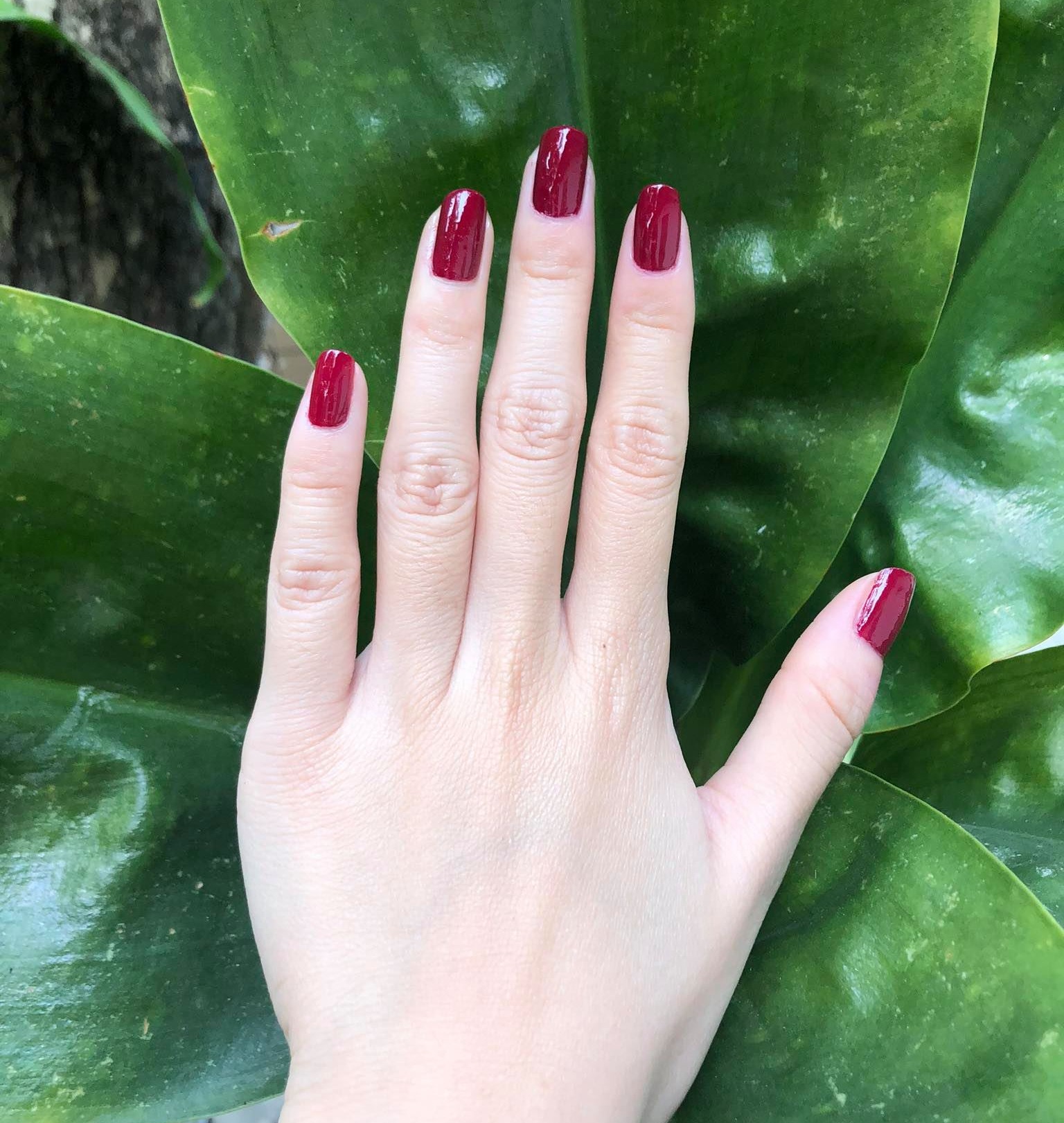 Sơn Móng Tay OPI màu đỏ rượu nho siêu tôn da