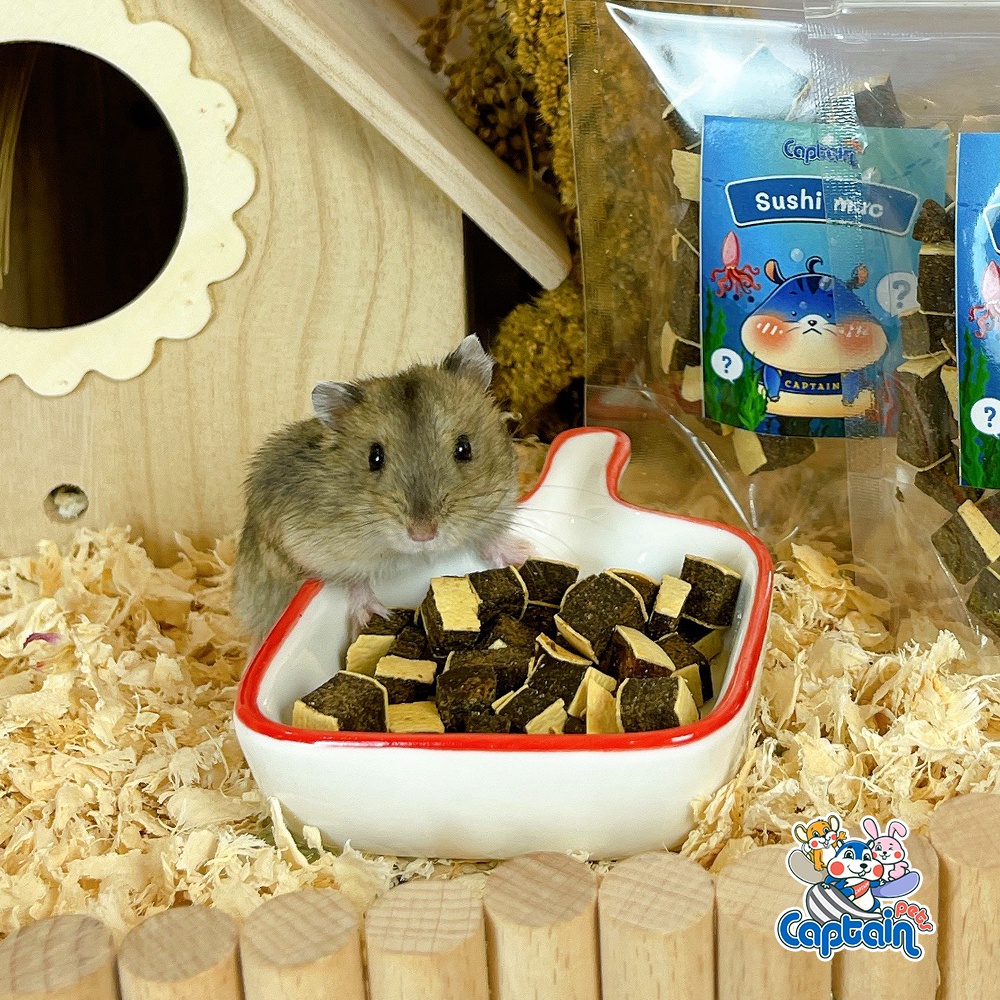 [FREESHIP MAX] Đồ Ăn Vặt Cho Hamster - Sushi cuộn - Bách hóa Hamster
