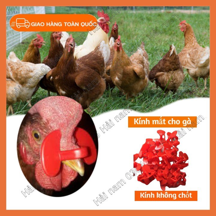 SET 30 MẮT KÍNH KHÔNG CHỐT CHO À TRÁNH MỔ NHAU