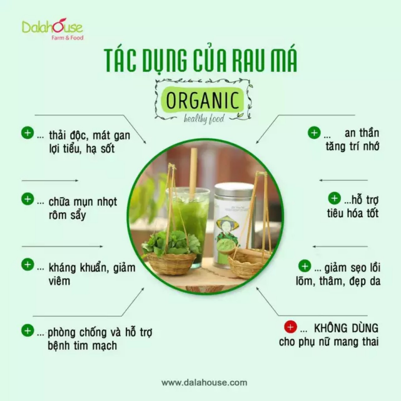 200gr bột rau má sấy lạnh nguyên chất 100%