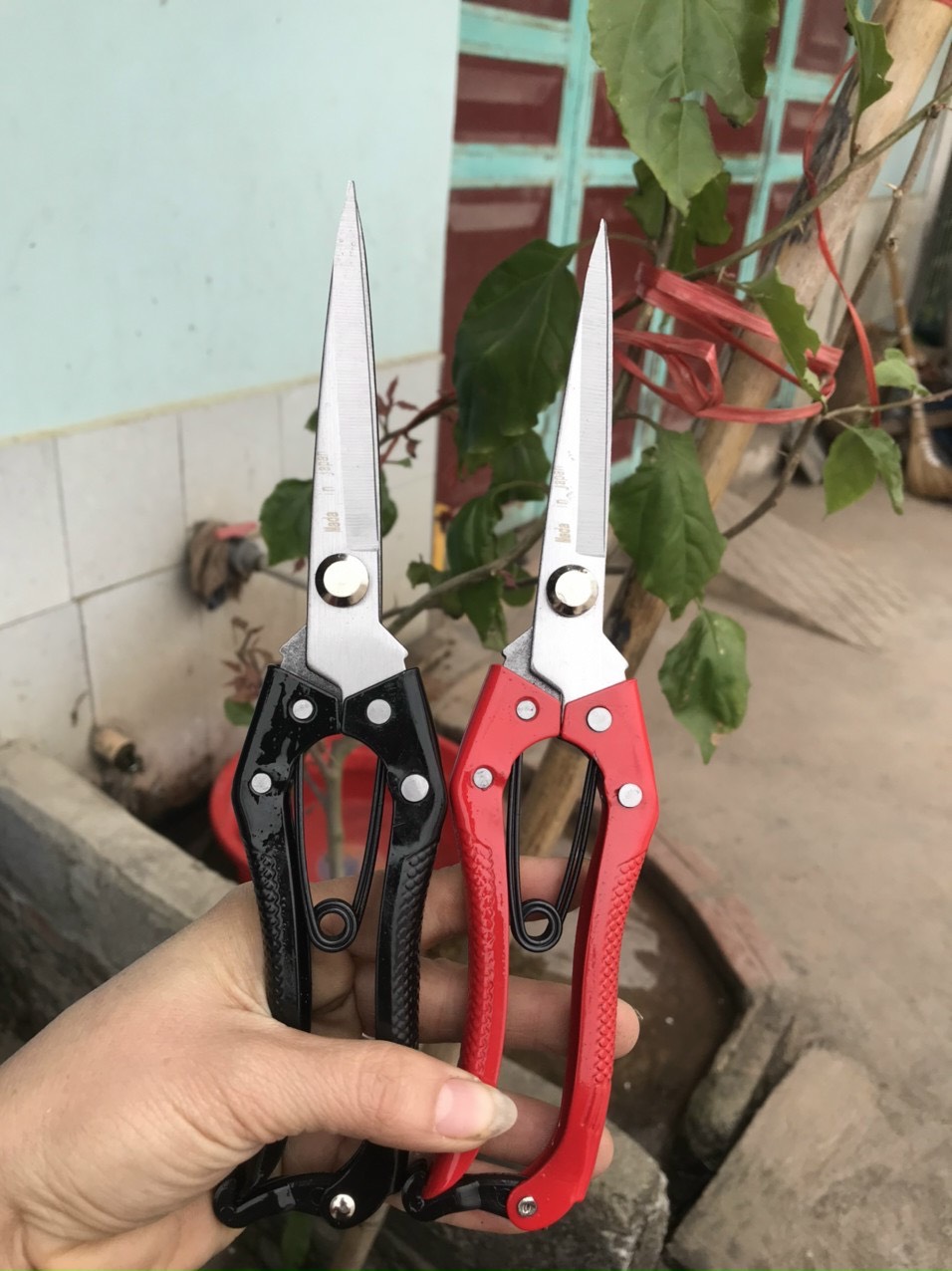 Kéo tỉa tán cây mũi dài 24 cm