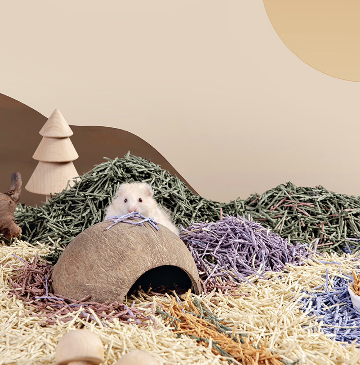 nhà gáo dừa cho hamster / chim / sóc / bò sát