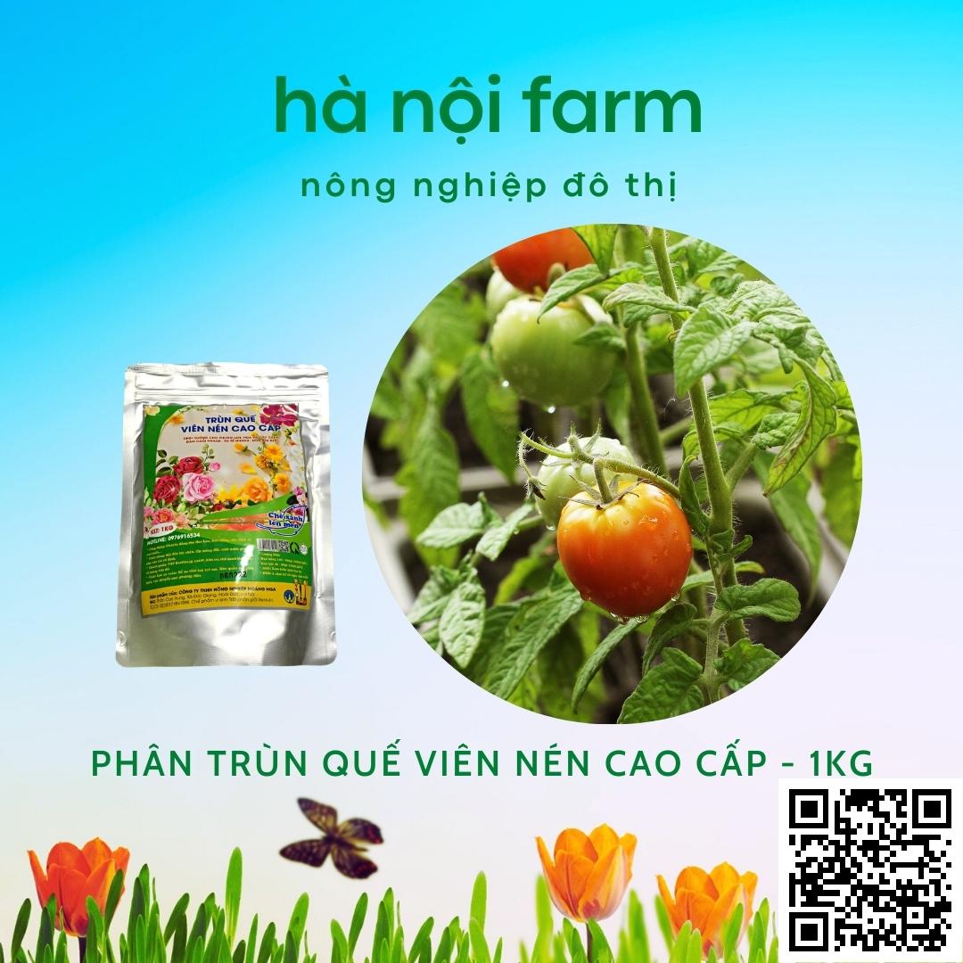 phân trùn quế viên nén cao cấp - gói 1kg