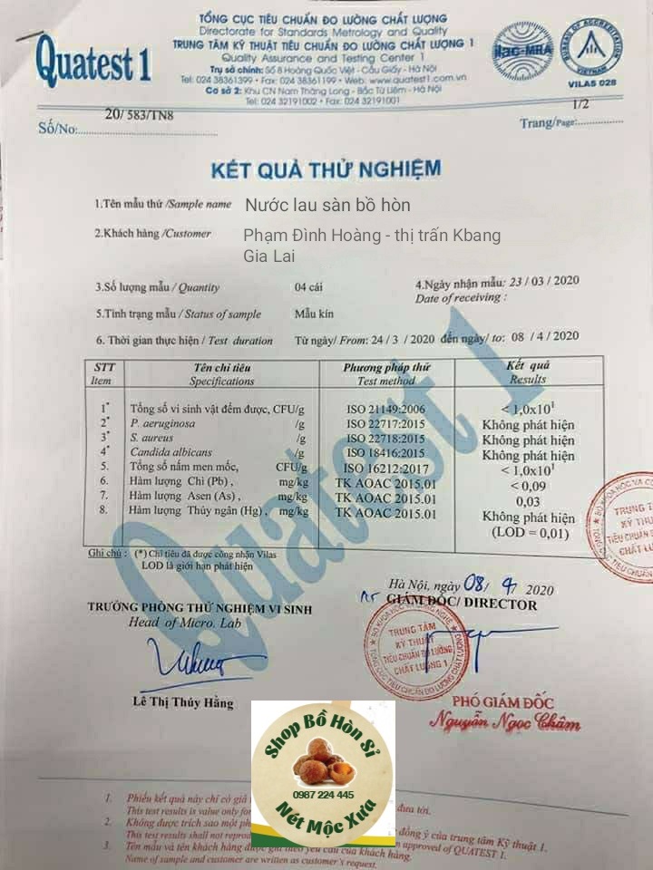 Nước lau sàn Bồ Hòn