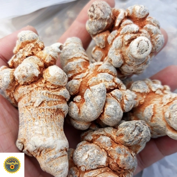 Củ Tam Thất Bắc Rừng thượng hạng khô 100 gram (loại 6-8 củ)