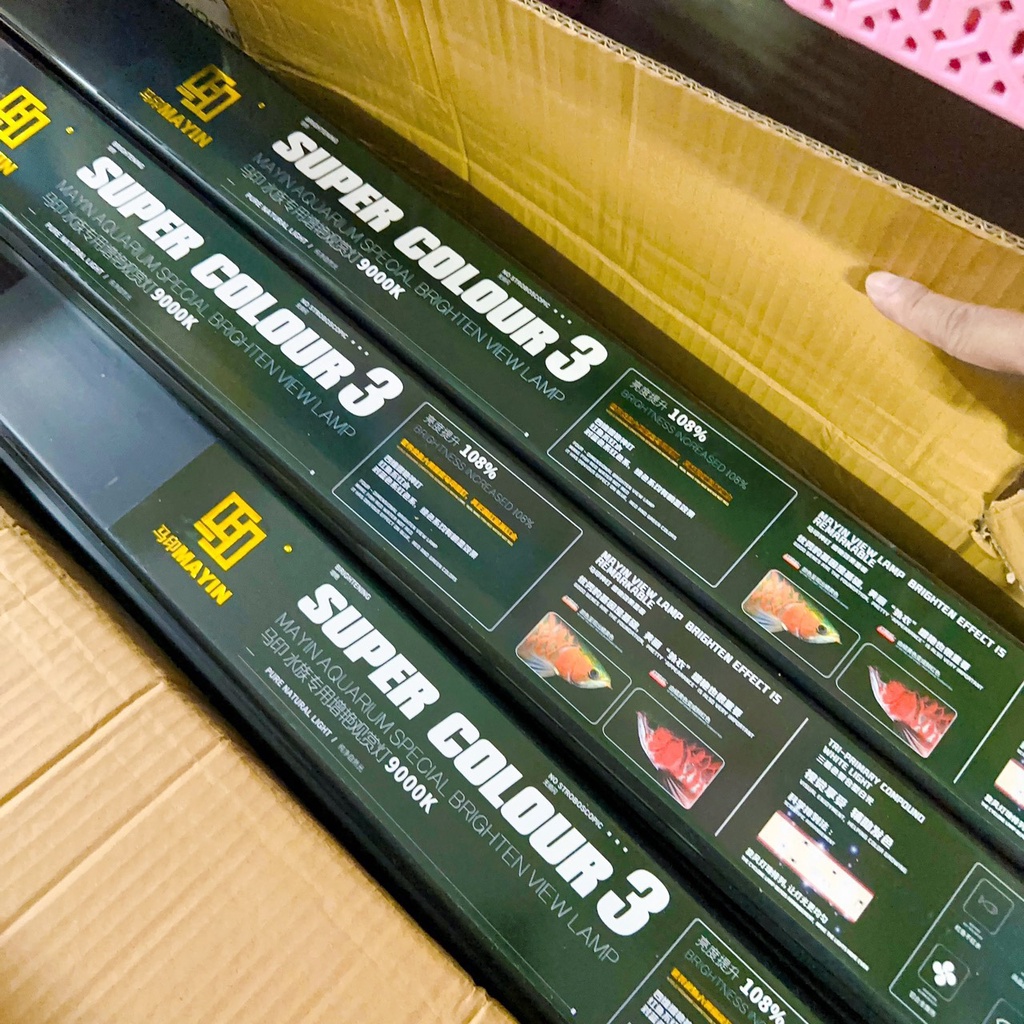 Đèn MAYIN SUPER COLOR Cho Huyết, Cho Bối Vàng Đủ Kích Thước