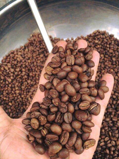 600g Cà Phê Hạt Robusta Nguyên Chất Rang Mộc 100% cam kết giống chuẩn có bảo hành
