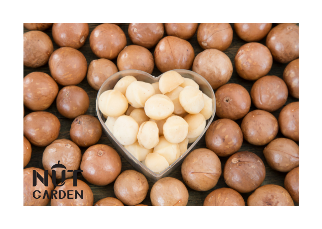 Nhân Hạt Macca Nut Garden - Nhập Khẩu Úc - 250gr