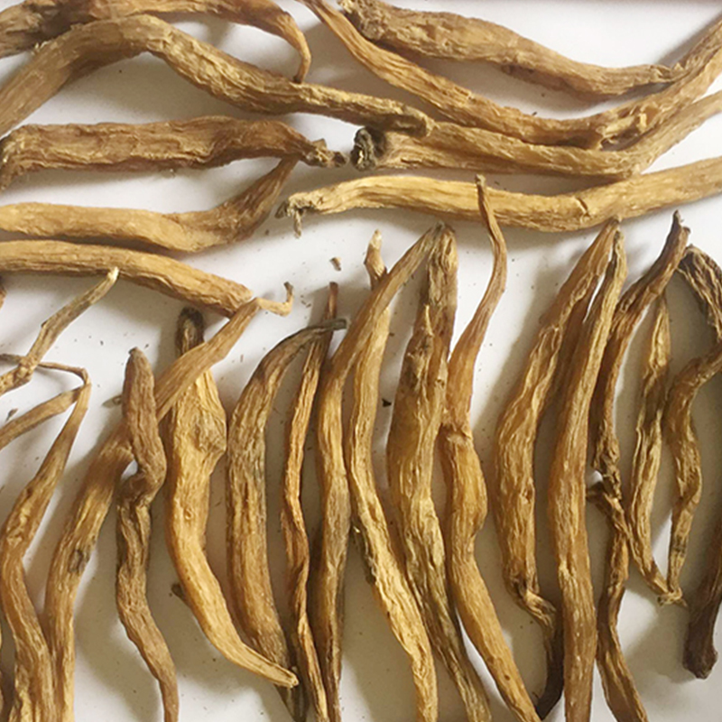 Củ bách bộ khô (1kg) - DB104