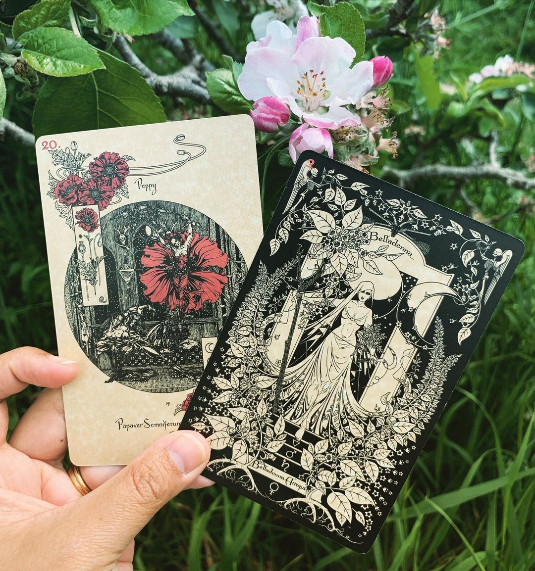Magickal Botanical Oracle