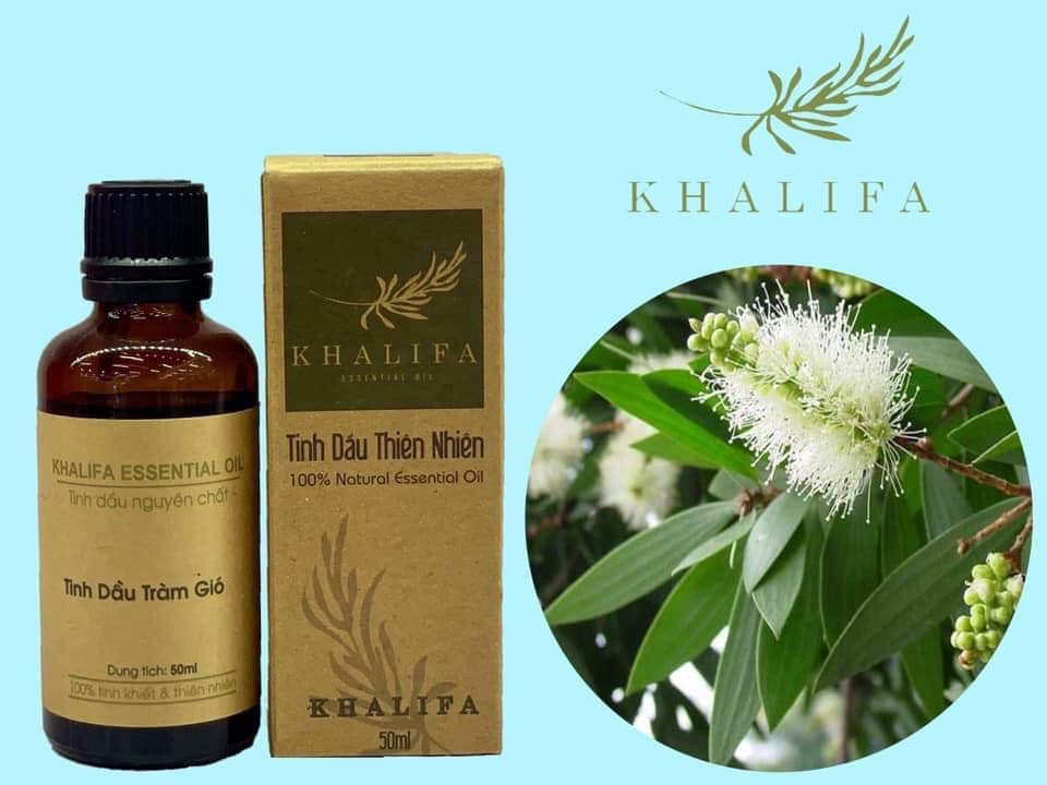 TINH DẦU TRÀM GIÓ 50ML