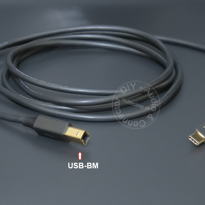 Dây chuyển Type C sang USB BM cho Laptop Smartphone DAC Đàn Máy in - Cáp USB-C sang midi DIY