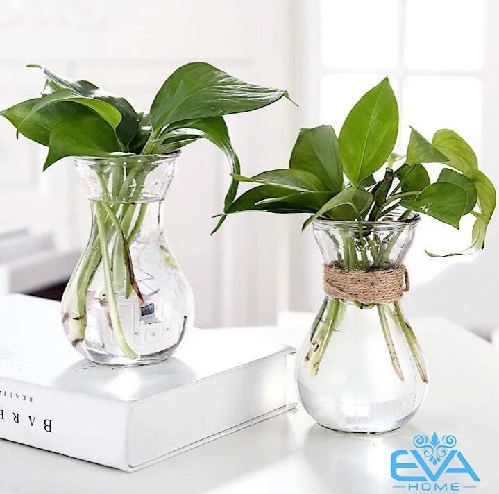 [HCM]Bình Bông Lọ Hoa Thủy Tinh Miệng Loe Tặng Kèm Dây Bố Trang Trí