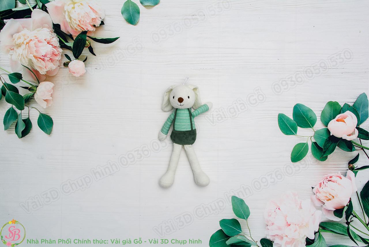 [HCM]PHÔNG NỀN VẢI 3D CHỤP ẢNH