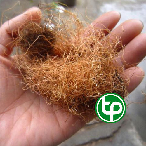 Râu bắp - râu ngô khô 500g