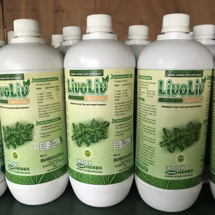 Bổ gan thận ấn độ chai 1l