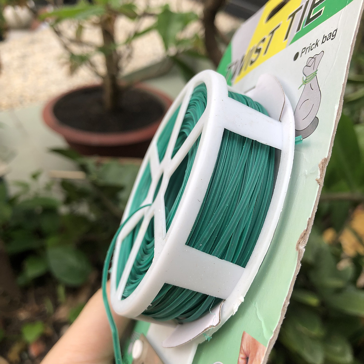 Cuộn dây bọc nhựa buộc lan, cây cảnh - 50m